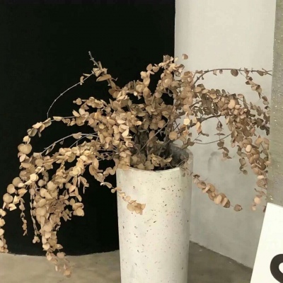 兽设写实风格绘画兽圈社群